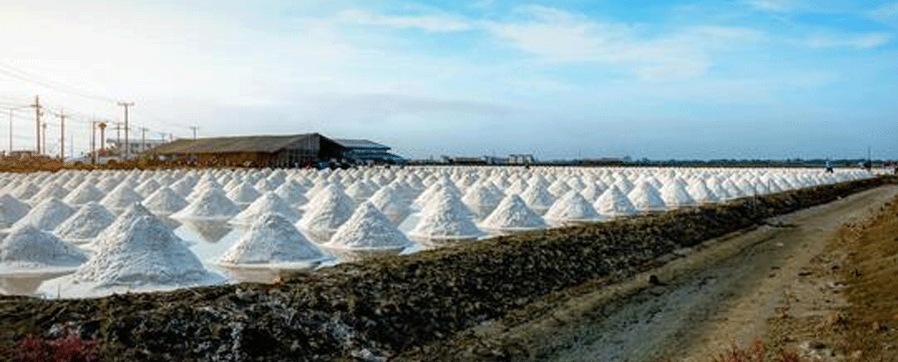 Project Details Cover