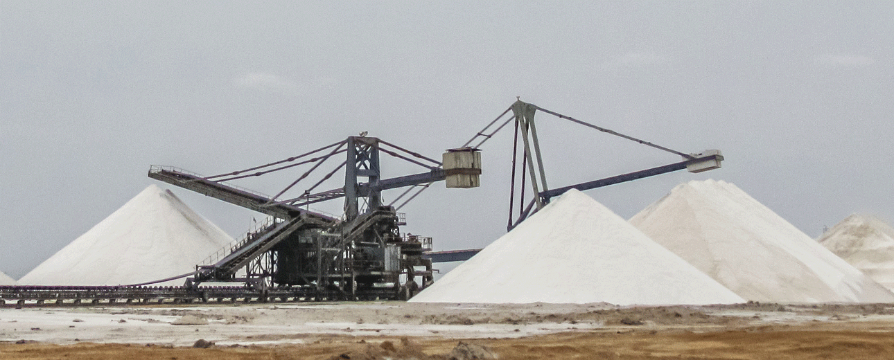 Project Details Cover